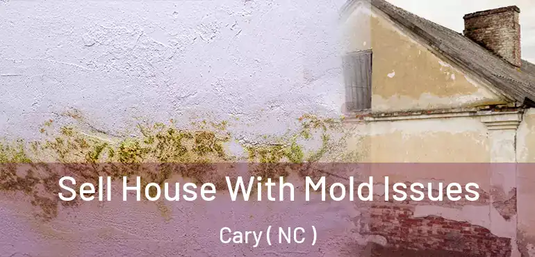  Sell House With Mold Issues Cary ( NC )